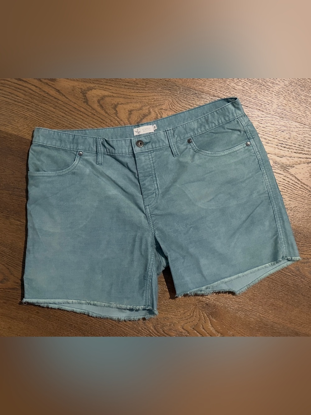 Carve Designs Women's Teal Shorts